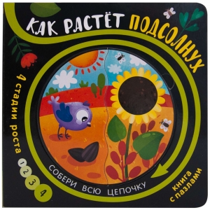 Как растет подсолнух. Собери цепочку