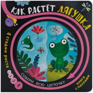 Как растет лягушка. Собери цепочку