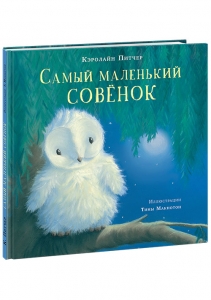 Самый маленький совёнок