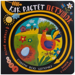 Как растет петушок. Собери цепочку