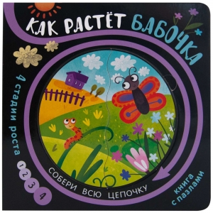 Как растет бабочка. Собери цепочку