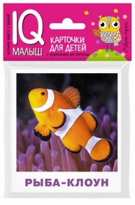 Обитатели морей и океанов. Набор карточек для детей.